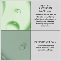 Hair Booster Serum 100ml