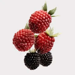 Her Eau De Parfum For Women 50ml