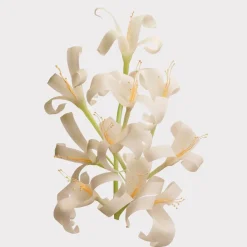 Her Eau De Toilette 30ml