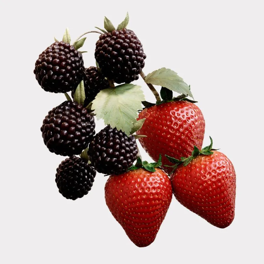 Her Elixir Eau De Parfum 30ml