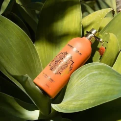 Holy Neroli Eau De Parfum 100ml