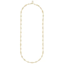 Honey Link Necklace Gold 45cm