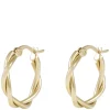 Honey Twist Earring Gold Onesize