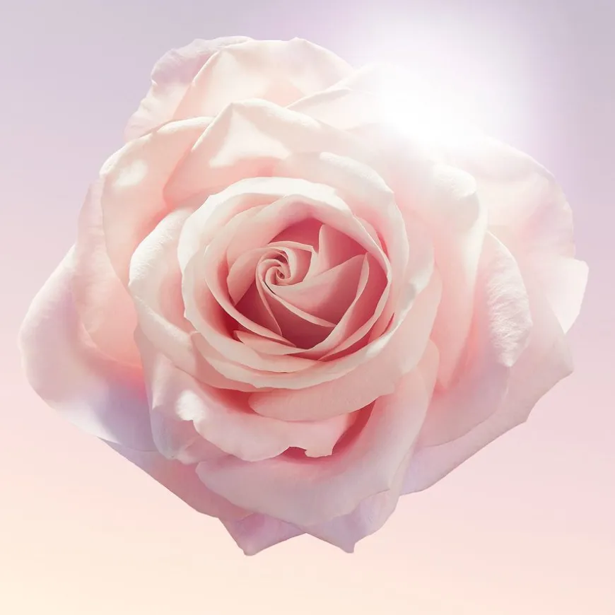 Idôle Eau De Parfum 25ml