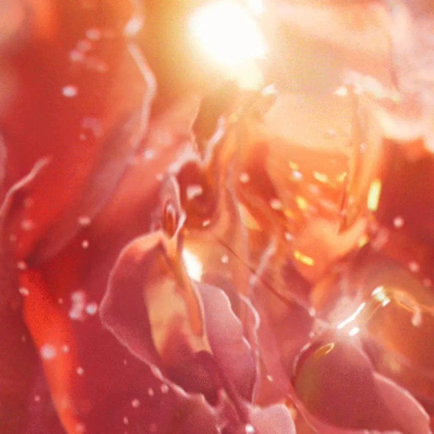 Idôle Now Eau de Parfum 25ml