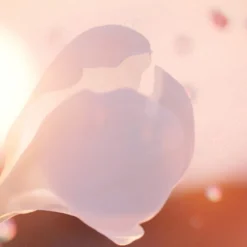 Idôle Now Eau de Parfum 50ml