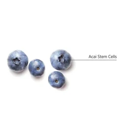 Inessence Conditioner 200ml