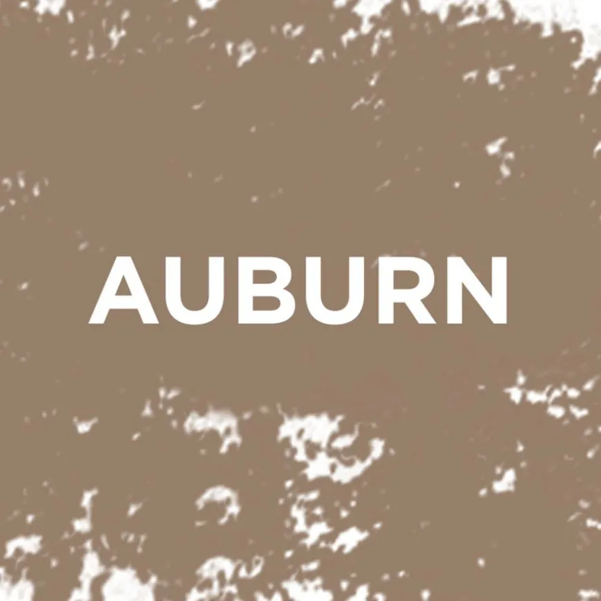 Infaillible Brows 24H Filling Triangular Pencil 5.23 Auburn 1ml