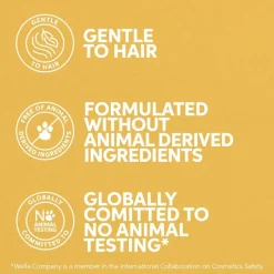 Invigo Sun Express Conditioner 200ml