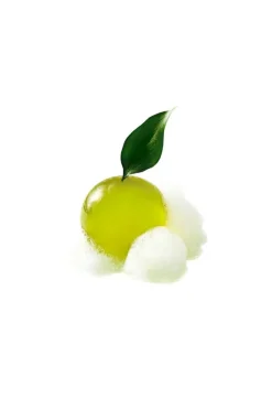 Jeju Green Tea Cleansing Ball 110g