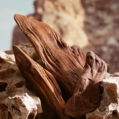 K By Dolce&Gabbana Parfum 100ml