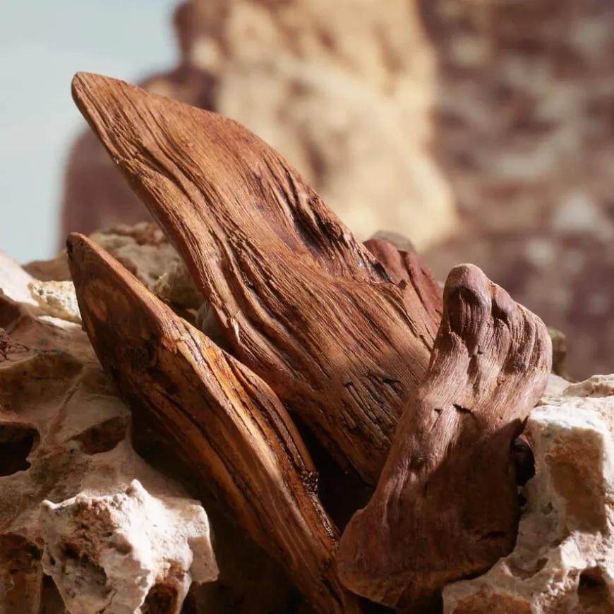 K By Dolce&Gabbana Parfum 50ml