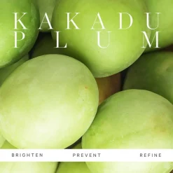 Kakadu Plum Vitamin C Serum 10ml