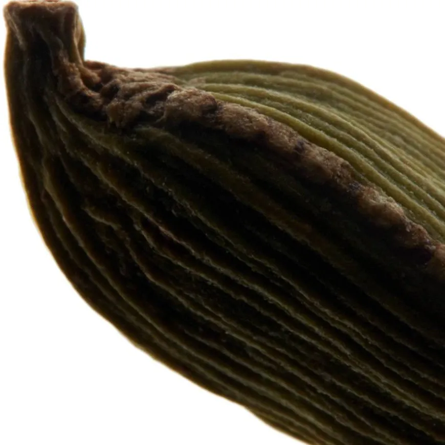 La Nuit De L'Homme Deostick 75g