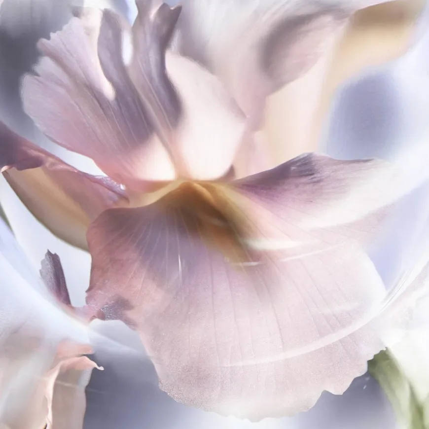 La Vie Est Belle Iris Absolu Eau De Parfum 50ml