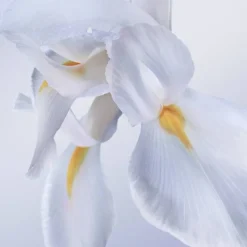 La Vie Est Belle Rose Extraordinaire Eau De Parfum 100ml