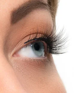 Lash Vault Holiday Feels 1 3pcs