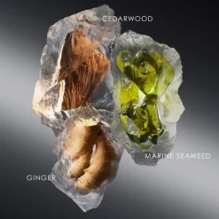 Le Sel d'Issey Eau de Toilette Refill 150ml