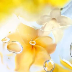 Les Ô Ô Zenith Eau De Toilette 100ml