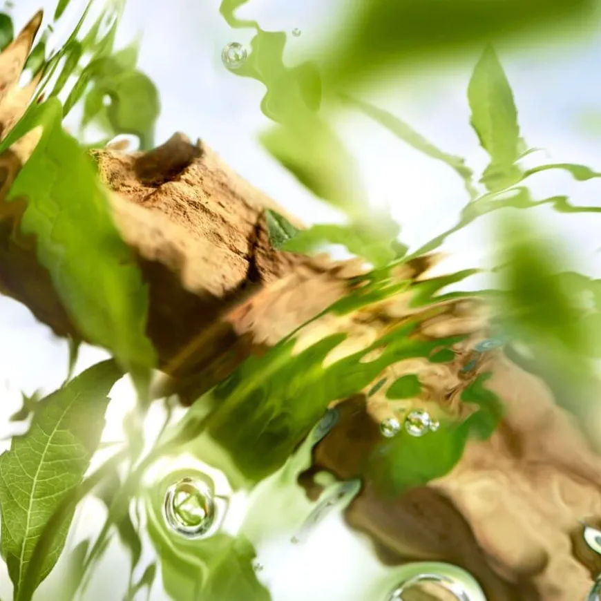 Les Ô Ôff Now Eau De Toilette 100ml