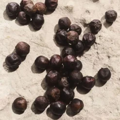 Light Blue Capri In Love Pour Homme Eau De Parfum 50ml