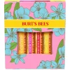 Lip Balm 4 Pack In Full Bloom