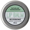 Lip Balm Mint 15ml