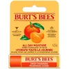 Lip Balm Sweet Mandarin Blister 4,25g