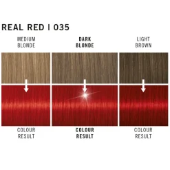 Live XXL #35 Real Red