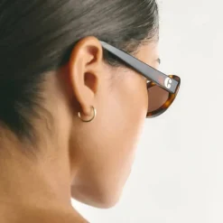 Louis Tortoise Brown