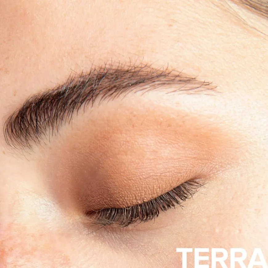 Matte Magnetic Eye Terra 2,8g