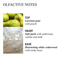 Milk Musk Body Lotion 300ml