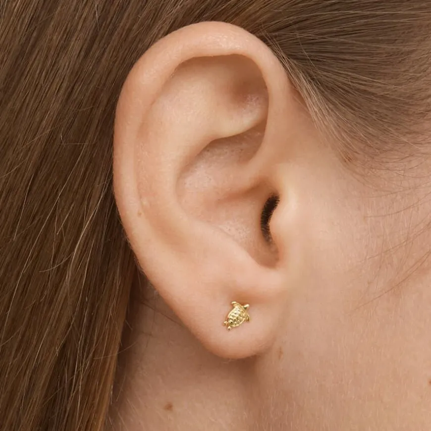 Mini Turtle Stud Earrings Gold