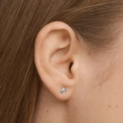 Mini Turtle Stud Earrings Silver