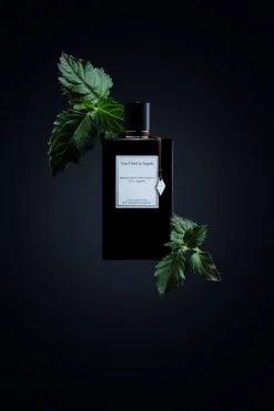 Moonlight Patchouli Eau De Parfume 75ml