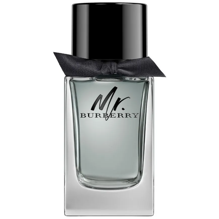 Mr. Burberry Eau De Toilette 100ml