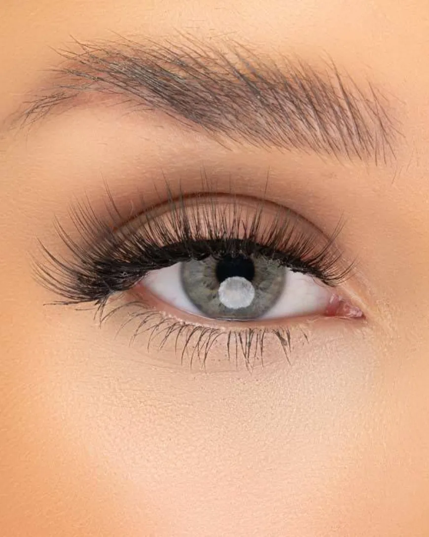 Multipack Lash Vault 2 3pcs