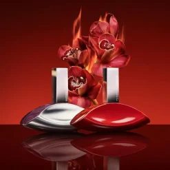 My Euphoria Eau De Parfum 30ml