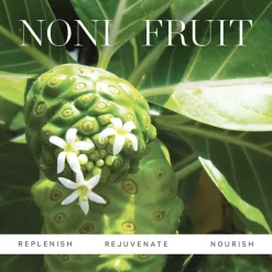 Noni Glow Face Oil 10 ml