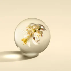 Orange & Bergamot Hand Lotion 300ml