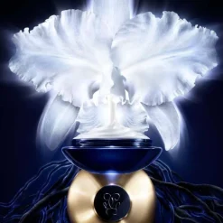 Orchidée Impériale The Light Cream 50ml