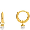 Orelia Mini Micro Pearl Drop Earrings