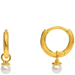 Orelia Mini Micro Pearl Drop Earrings