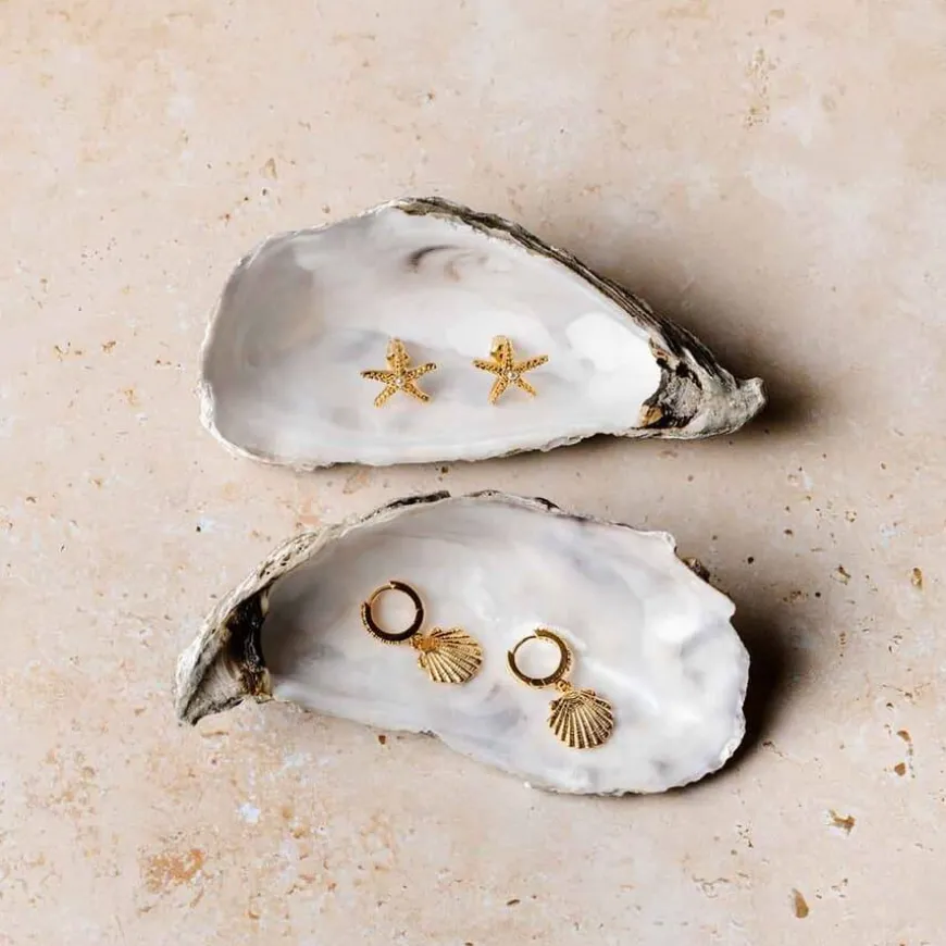 Orelia Shell Pavé Huggie Hoop Earrings