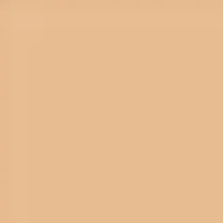 Parure Gold Skin Matte Foundation 3W 30ml