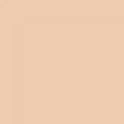 Parure Gold Skin Matte Foundation 2W 30ml