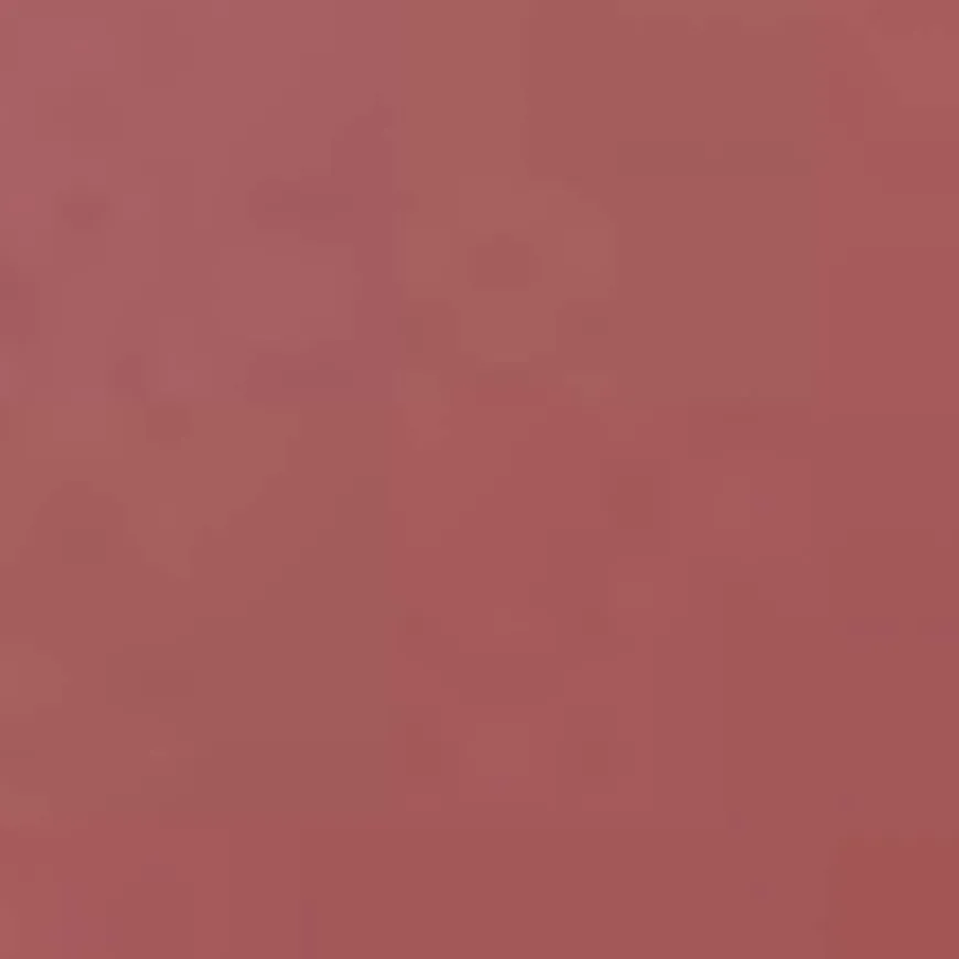 Perfect Color Lipstick #834 Rosewood Rouge 4g