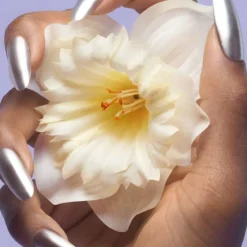 Perfect Eau De Toilette 100ml