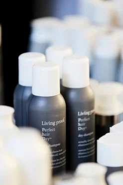 Perfect Hair Day Dry Shampoo 198ml