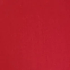 Perfect Moisture Lipstick 210 Ultimate Red 4g